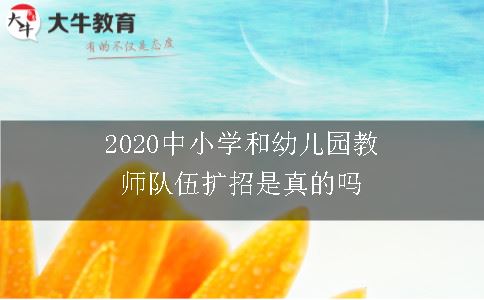 2020中小学和幼儿园教师队伍扩招是真的吗