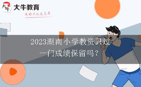 湖南小学教资只过一门成绩