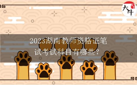 2023湖南教师资格证笔试考试科目