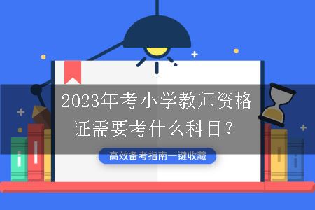 2023年考小学教师资格证科目