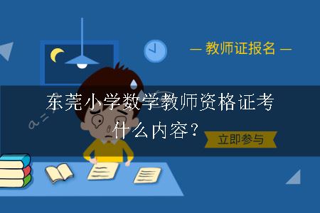 东莞小学数学教师资格证考什么内容？