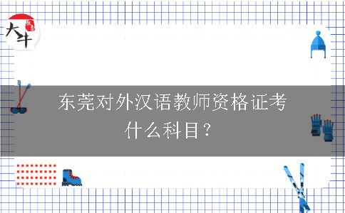 东莞对外汉语教师资格证科目