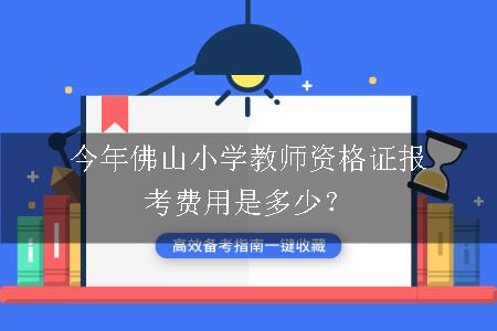 佛山小学教师资格证报考费用